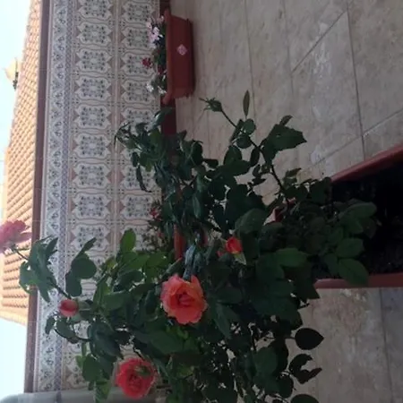 Piso Con Encanto Cehegín Exterior foto